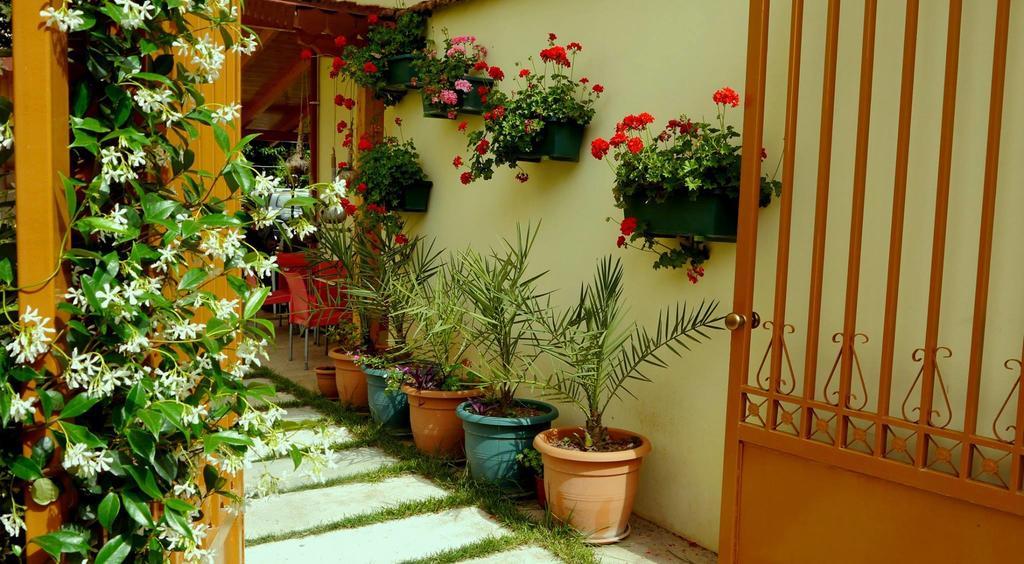 Kruja Hotel Tirana Buitenkant foto